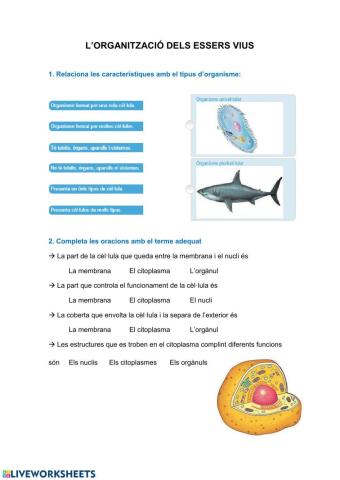 Organització dels essers vius 1