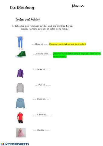 Die Kleidung (Artikel und Farben)