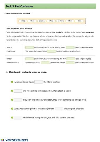 Vocabulary and Past Continuous