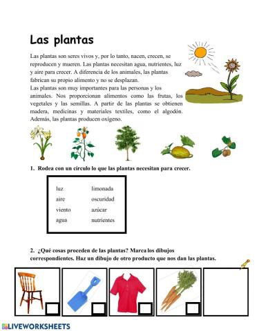 Las Plantas