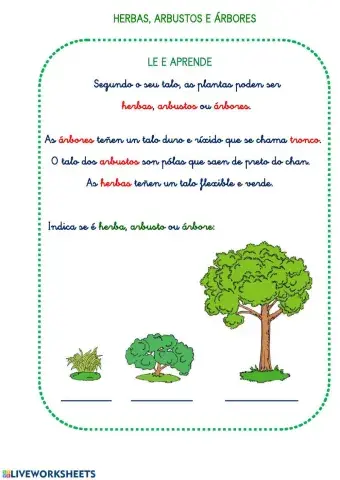 Herbas,arbustos e árbores