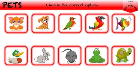 PETS (Multiple Choice )