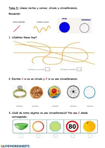 Líneas rectas y curvas, círculo y circunferencia