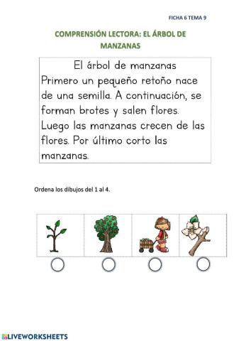 Comprensión Lectora: El árbol de manzanas