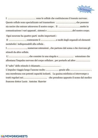 Il sistema nervoso- Il neurone