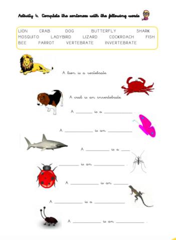 Vertebrates and invertebrates