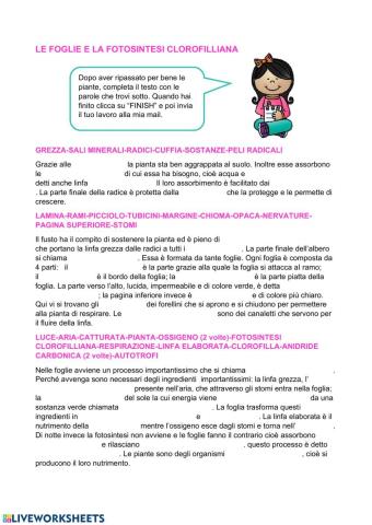Le piante e la fotosintesi clorofilliana