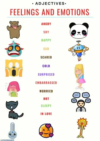 Feelings and emotions.