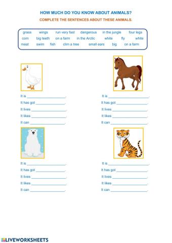How much do you know about animals?