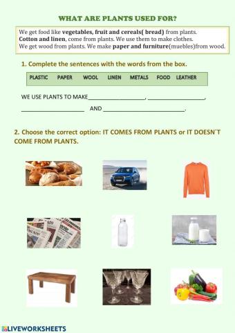 What are plants used for?