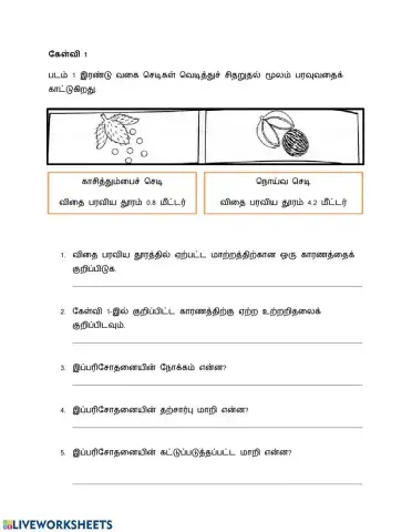 விதை பரவல்