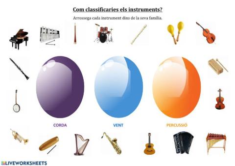 Famílies d'instruments