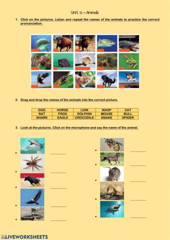 Animals