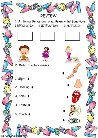 Senses and three vital functions