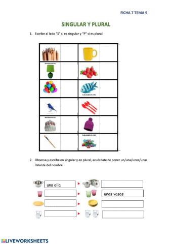 Singular y Plural