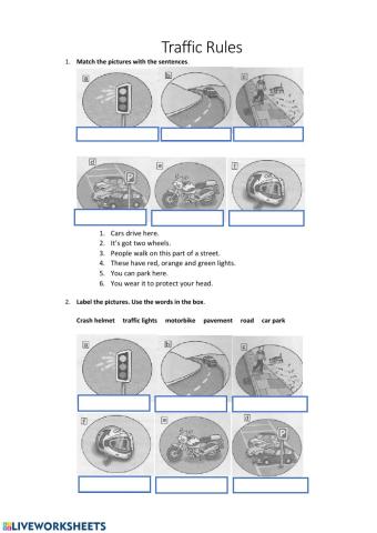 Traffic Rules