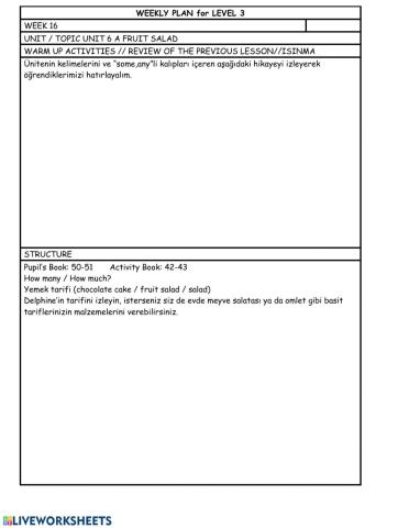 Level 3 Week 16 weekly plan