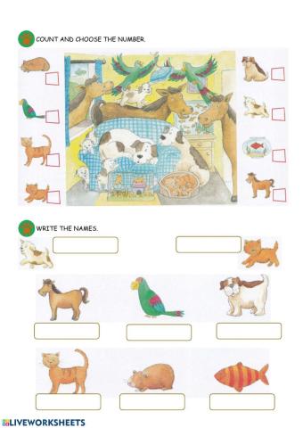 PETS 2º lesson 2
