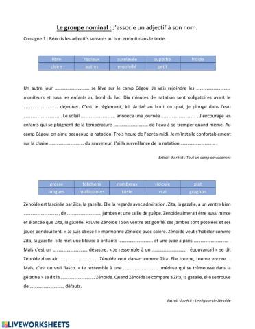 Le groupe nominal - j'associe un adjectif à son nom