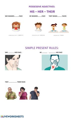 His-her-their. present simple