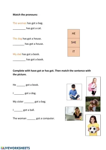 He she it - have has