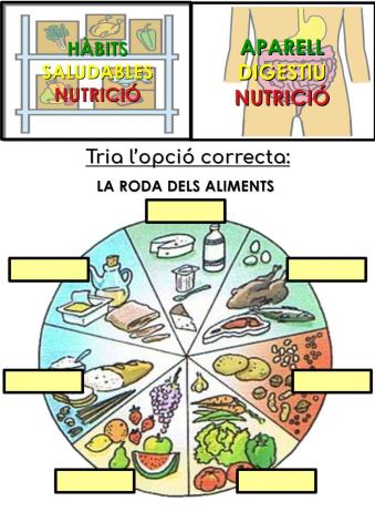 La roda dels aliments