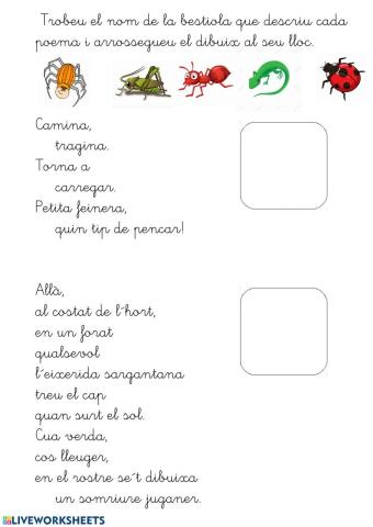 Lola Casas.Poemes de bestioles del pati.