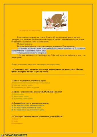 Четене с разбиране