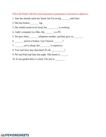 Possessive adjectives and possessive pronounces