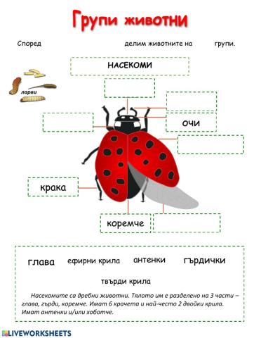 Групиране на животните (по общи белези)