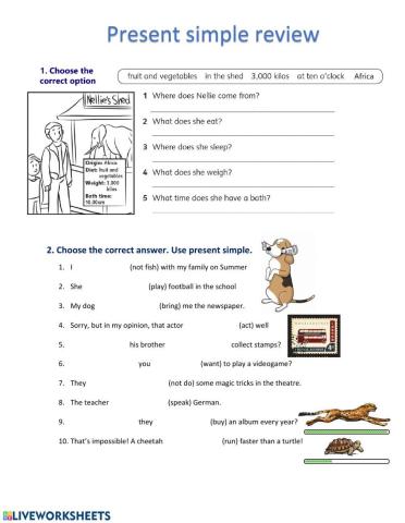 Present simple review