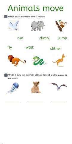 Animals move