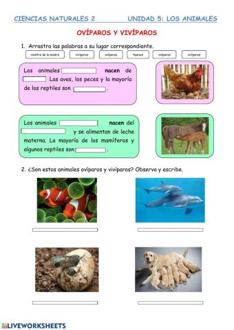 Ovíparos y vivíparos