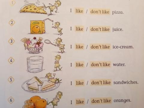 Food like-don't like