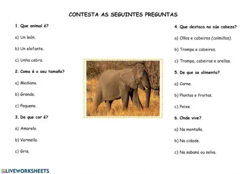 Comprensión lectora