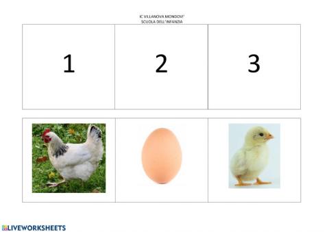 Sequenza uovo