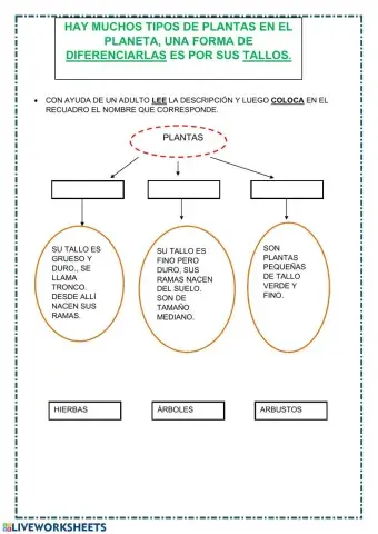 Unidad de los seres vivos.