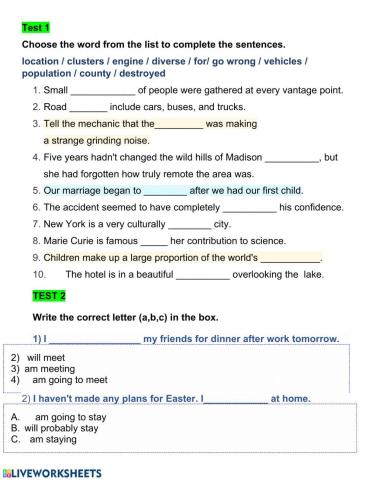 Test your English (vocabulary and Future tenses)