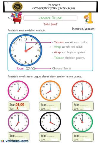 Tam Ve Yarım Saatler