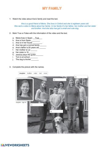 HAVE-HAS GOT - the family