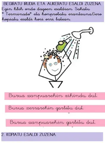 Idatzizko ulermena.X hizkia