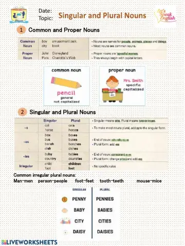 Singular and Plural Noun