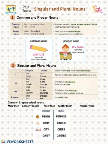 Singular and Plural Noun