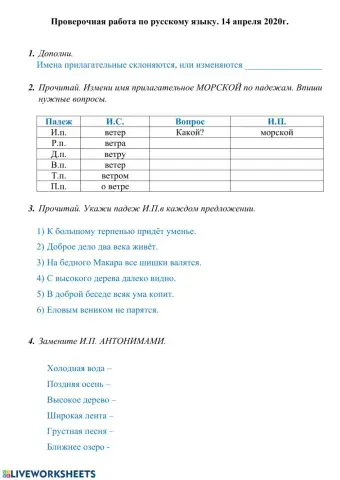 Пров работа. Русский язык. Имя прилагательное.