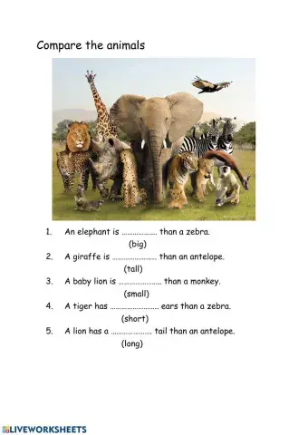 Compare animals
