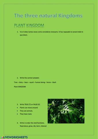 Plant Kingdom