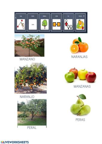 Unir el árbol con su fruto