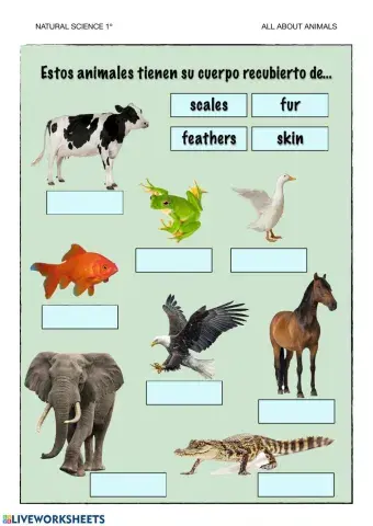 Estos animales tienen su cuerpo recubierto de...