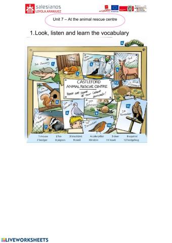 Lesson 1 Unit 7 English 5º