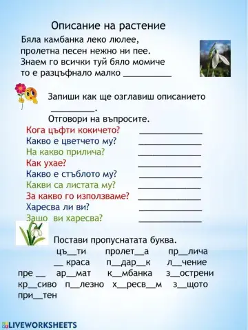 Описание на растение